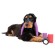 Бандаж для собак Show Tech 4,5 м x 7,5 см неоново-розовый
