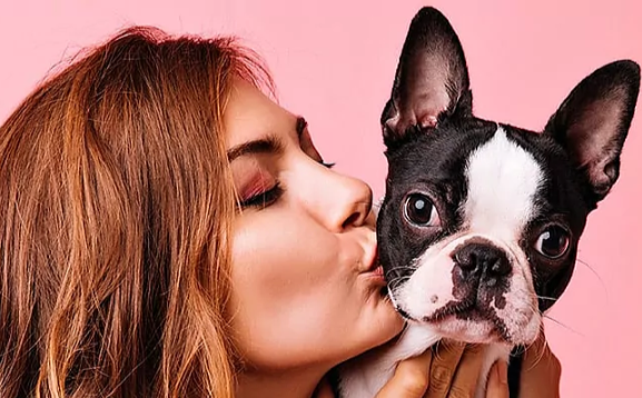 Забота о питомцах