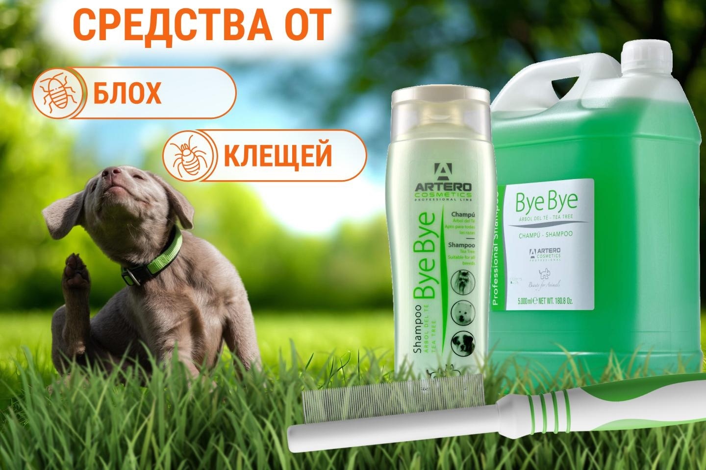 как защитить собак и кошек