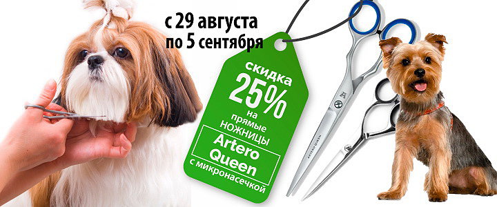 25% скидка на прямые ножницы Artero Queen с микронасечкой