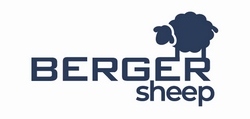 Berger Sheep