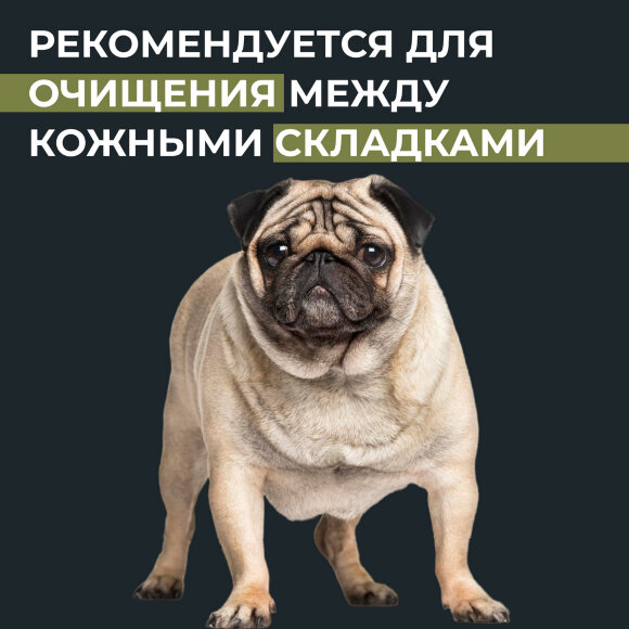 Скраб для домашних животных Show Tech+ Skinsational, 200 мл