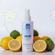 Парфюм Show Tech Charms, 100 мл