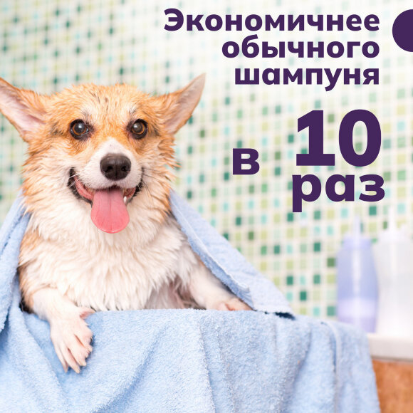 Шампунь Show Tech гипоаллергенный для собак, кошек и лошадей, 300 мл Шампунь Show Tech гипоаллергенный для собак, кошек и лошадей, 300 мл