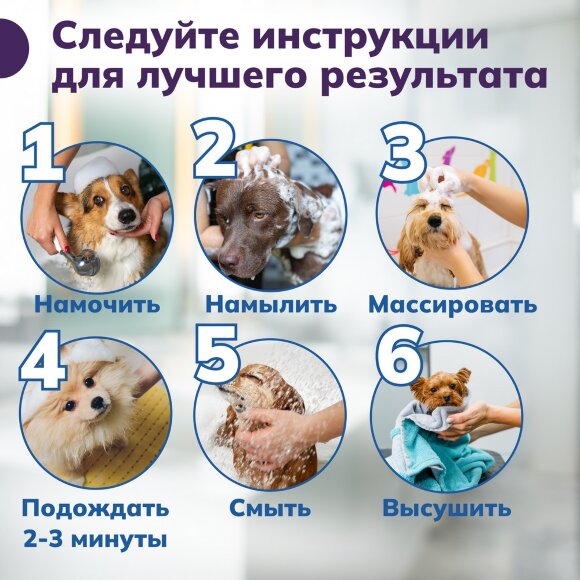 Шампунь Show Tech гипоаллергенный для собак, кошек и лошадей, 300 мл Шампунь Show Tech гипоаллергенный для собак, кошек и лошадей, 300 мл