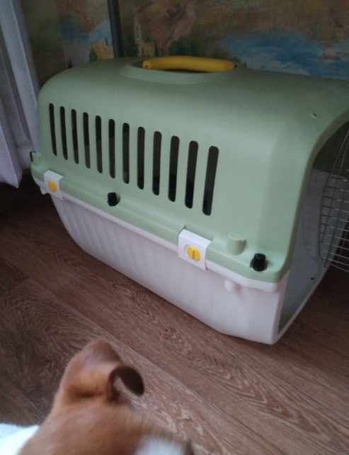 Переноска пластиковая Petmode Macaron 61х40х41 см, зеленая Переноска пластиковая Petmode Macaron 61х40х41 см, зеленая