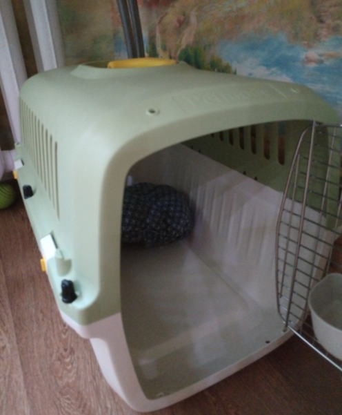 Переноска пластиковая Petmode Macaron 61х40х41 см, зеленая Переноска пластиковая Petmode Macaron 61х40х41 см, зеленая