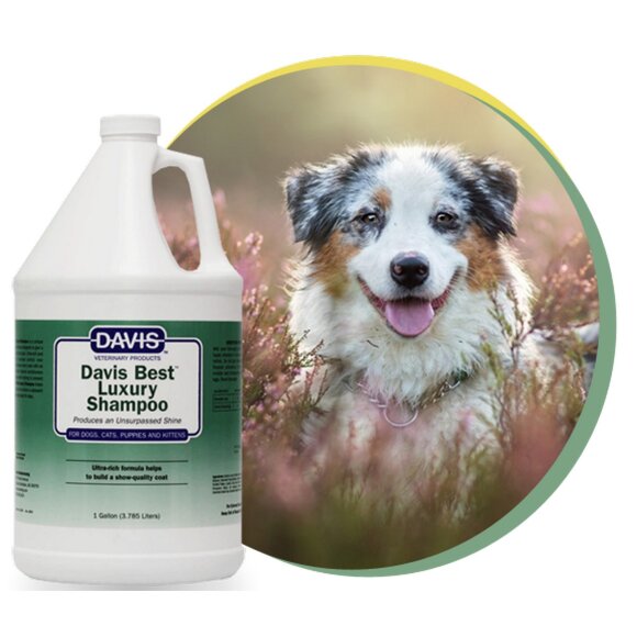 Шампунь Davis Best Luxury Роскошь для непревзойденного блеска, 3,8 л