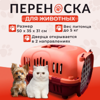 Переноска пластиковая Petmode Safari 50х35х31 см с пластиковой дверцей, оранжевая