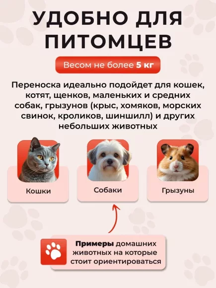 Переноска пластиковая Petmode Safari 50х35х31 см с пластиковой дверцей, оранжевая