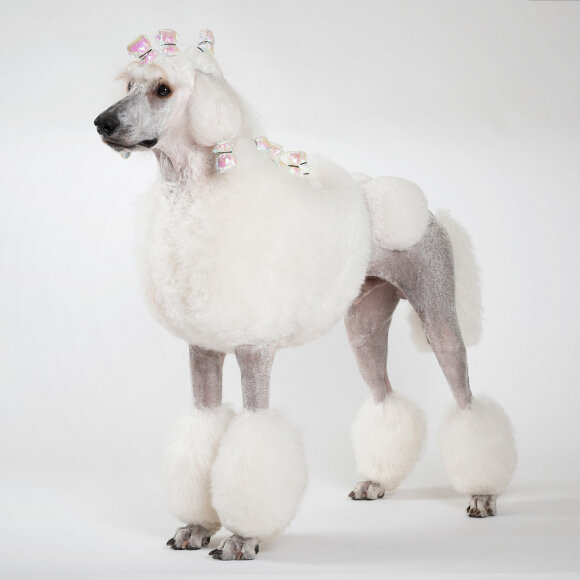 Пластиковая бумага Show Tech для папильоток 100 шт, перламутровый красный Пластиковая бумага Show Tech для папильоток 100 шт, перламутровый красный