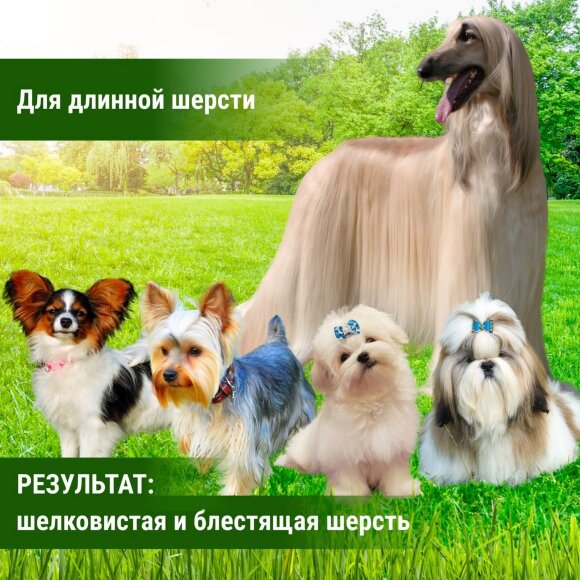 Шампунь Crown Royale Biovite №1, 236 мл