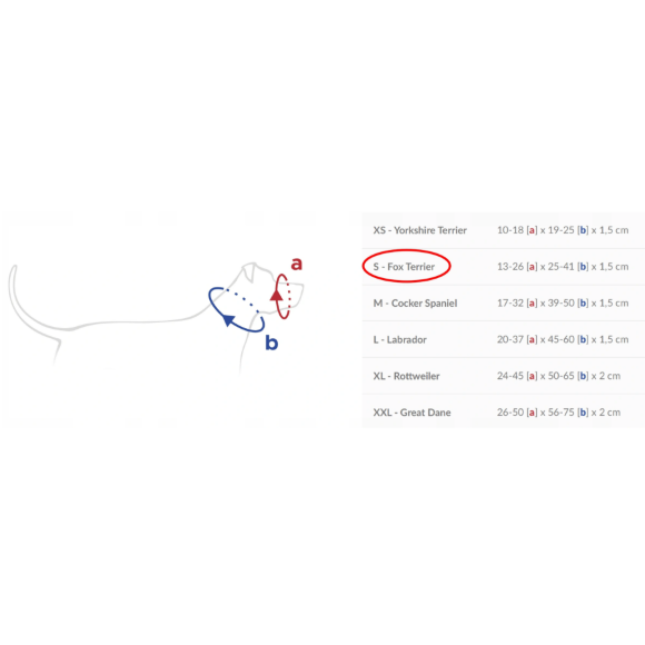 Недоуздок AmiPlay Cotton Фокстерьер, размер S, синий Недоуздок AmiPlay Cotton Фокстерьер, размер S, синий