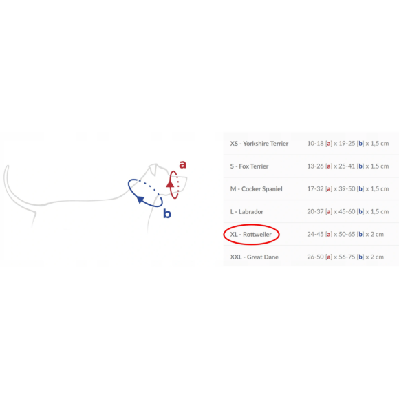 Недоуздок AmiPlay Cotton Ротвейлер, размер XL, синий