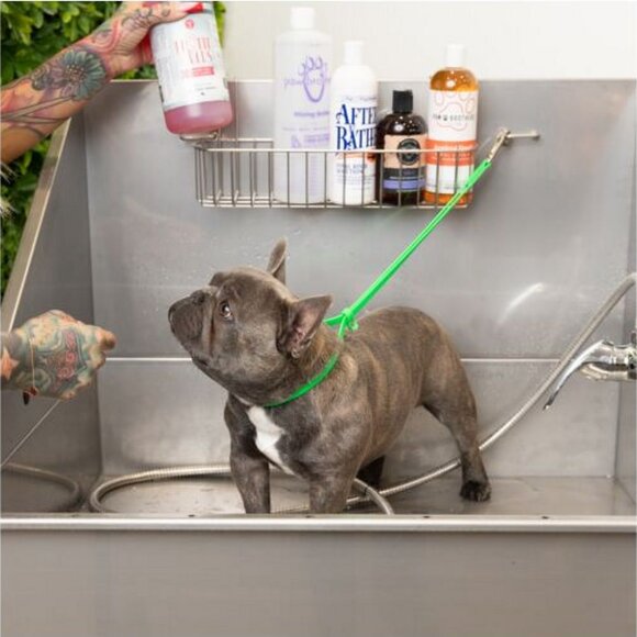 Петля Jelly Pet биотановая для удержания собаки 46х1 см, салатовая