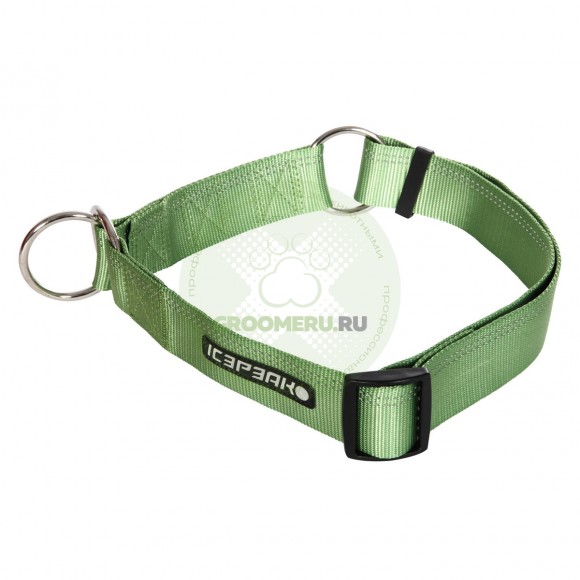 Ошейник-полуудавка IcePeak winner slip collar, цвет зеленый, размер S