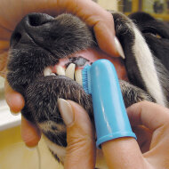 Зубная щетка Show Tech на палец, 2 шт.