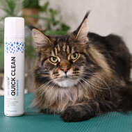 Сухой шампунь Show Tech+ Quick Clean, 200 мл