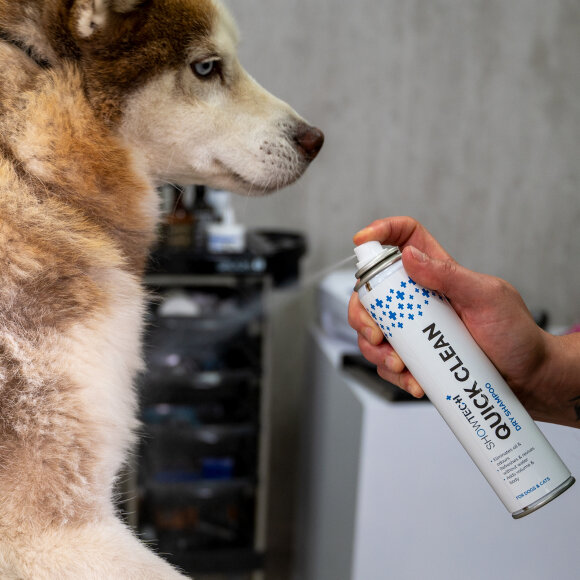 Сухой шампунь Show Tech+ Quick Clean, 200 мл Сухой шампунь Show Tech+ Quick Clean, 200 мл