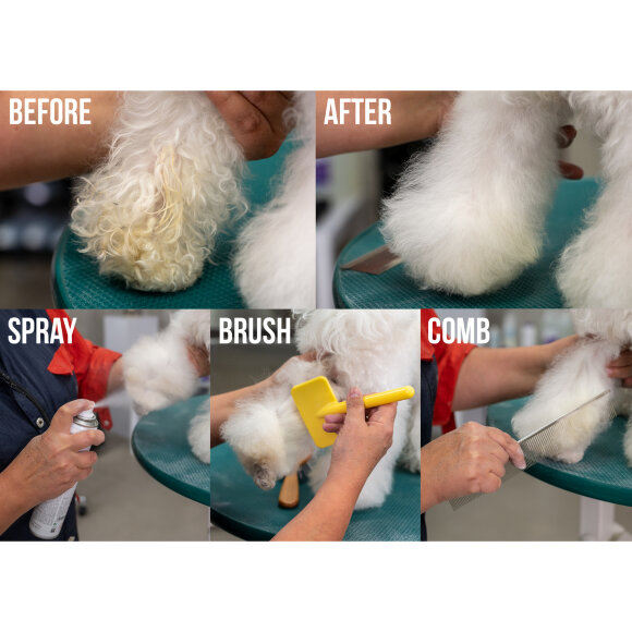 Сухой шампунь Show Tech+ Quick Clean, 200 мл Сухой шампунь Show Tech+ Quick Clean, 200 мл