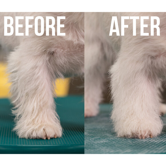 Сухой шампунь Show Tech+ Quick Clean, 200 мл Сухой шампунь Show Tech+ Quick Clean, 200 мл