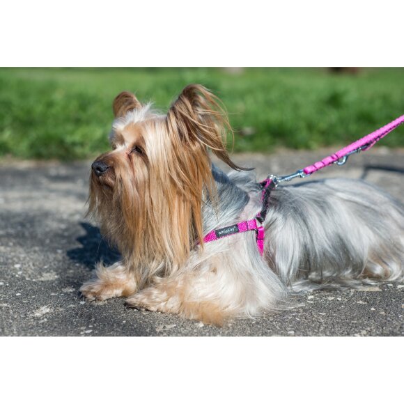 Шлейка регулируемая AmiPlay Twist S 20-35/1 см, оранжевая