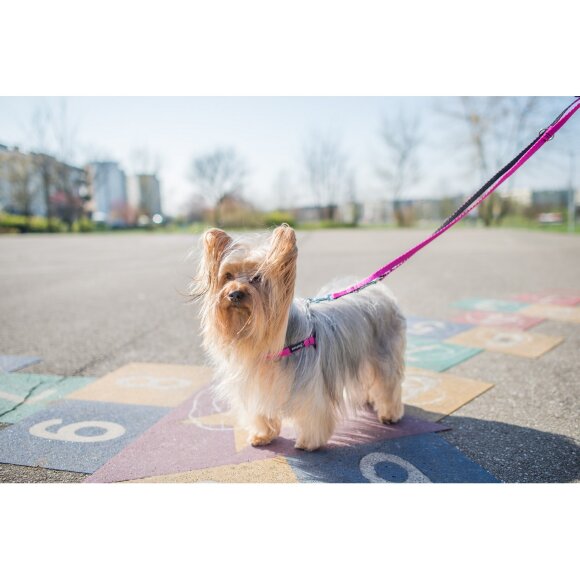 Шлейка регулируемая AmiPlay Twist S 20-35/1 см, зеленая