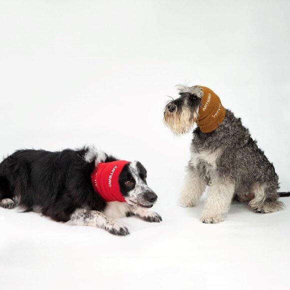 Набор бандажей Artero для собак, S, M, L Набор бандажей Artero для собак, S, M, L