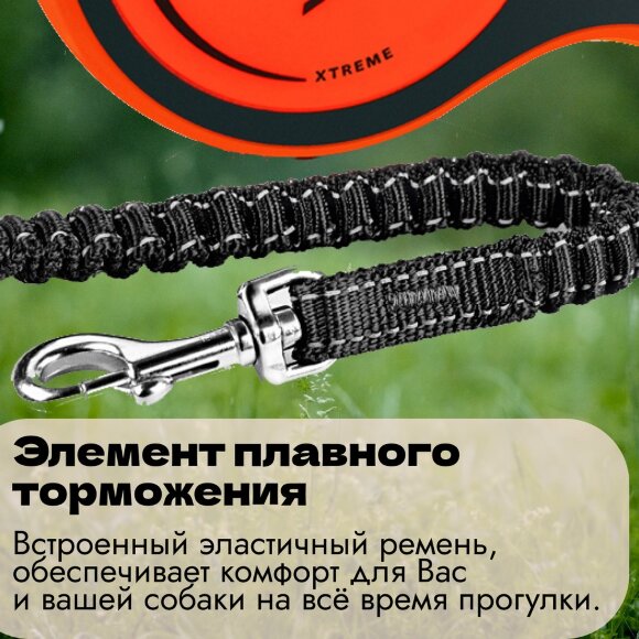 Поводок-рулетка для собак Flexi Xtreme S 5 метров, лента Поводок-рулетка для собак Flexi Xtreme S 5 метров, лента