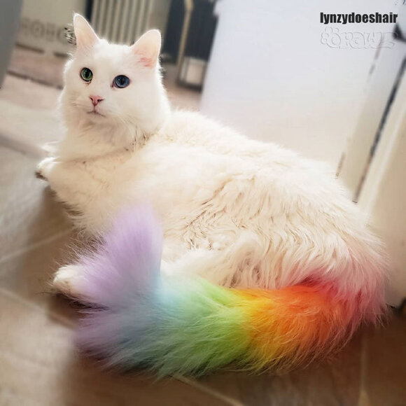 Полуперманентный краситель Opawz желтый, 150 г