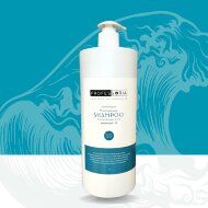 Шампунь Professoria Moisturising 1:10 увлажняющий, 1 л