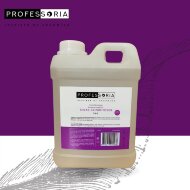 Спрей-кондиционер Professoria 3 in 1, 2 л