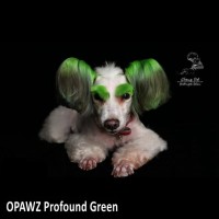 Краска для шерсти Opawz перманентная, глубокий зеленый