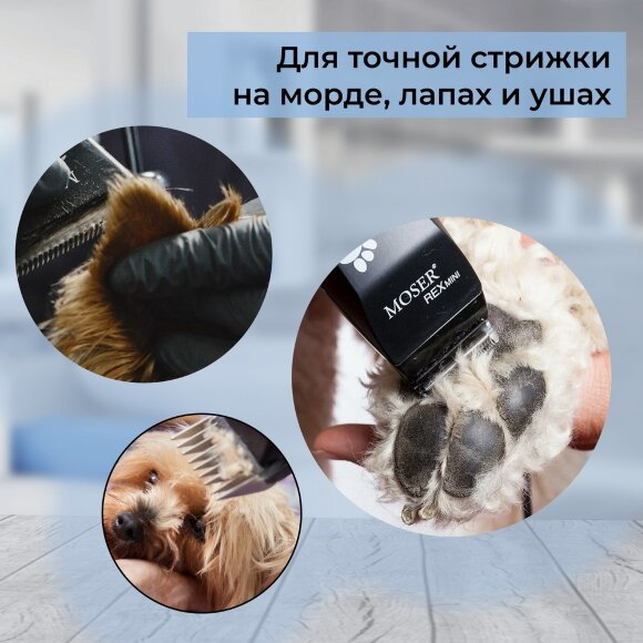 Сетевой триммер Moser 1411-0062 Rex Mini Сетевой триммер Moser 1411-0062 Rex Mini