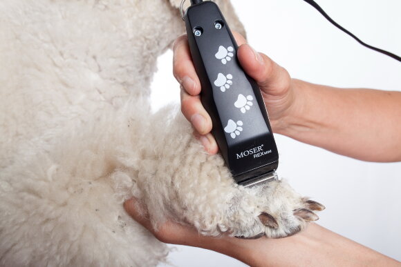 Сетевой триммер Moser 1411-0062 Rex Mini Сетевой триммер Moser 1411-0062 Rex Mini