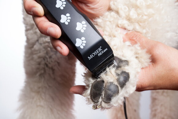 Сетевой триммер Moser 1411-0062 Rex Mini Сетевой триммер Moser 1411-0062 Rex Mini