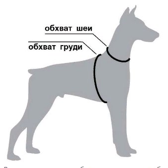 Шлейка регулируемая AmiPlay Cotton ECO L 40-75/2,5 см, красная