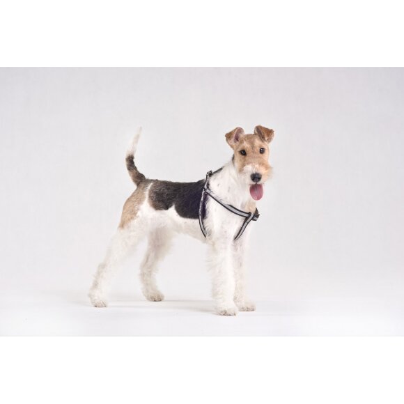 Шлейка регулируемая AmiPlay FLASH Shine L 40-75/2 см, черная