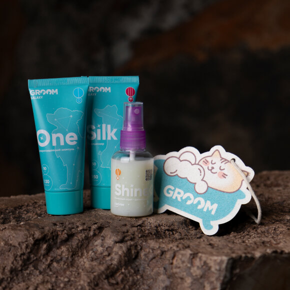 Набор косметики Groom "Домашний уход" (One, Silk, Shine по 50 мл + губка и косметичка)
