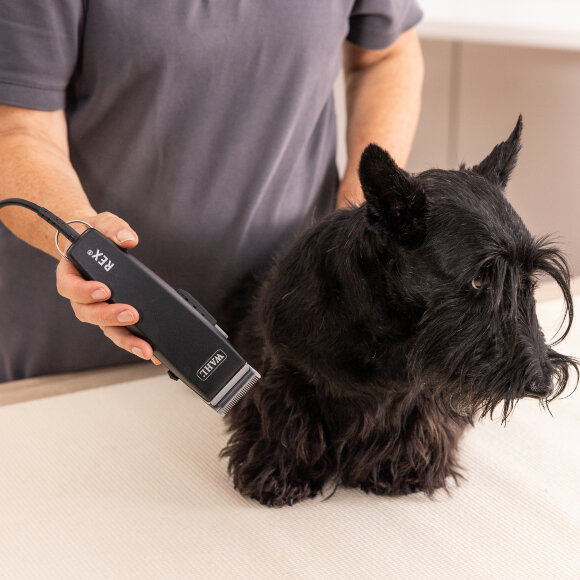 Полупрофессиональная машинка WAHL 1230-0477 Rex для стрижки животных