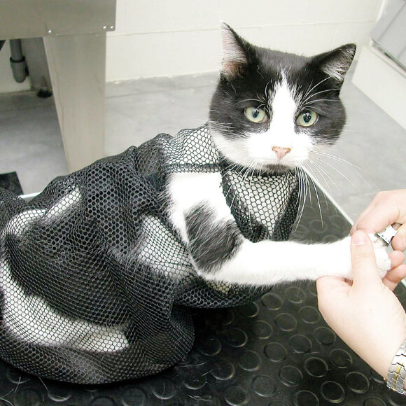 Сумка Show Tech для мытья кошек