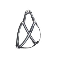 Шлейка регулируемая AmiPlay FLASH Shine S 20-35/1 см, черная