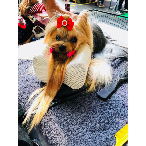 Подушка Show Tech для поддержания головы, размер L Подушка Show Tech для поддержания головы, размер L