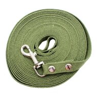 Поводок Каскад брезентовый ширина 20 мм, длина 10 м