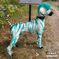 Краска для шерсти Opawz перманентная, аквамарин