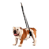 Ремень Show Tech для удержания собаки, размер Small