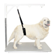 Ремень Show Tech для удержания собаки, размер Large