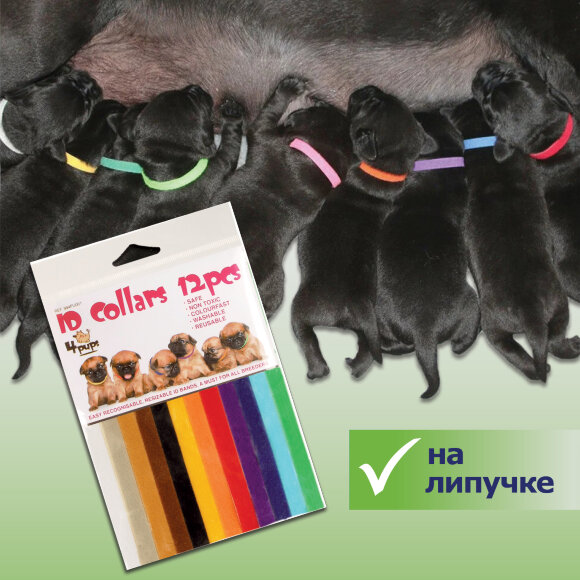 Набор ошейников 4Pups для щенков, 12 штук Набор ошейников 4Pups для щенков, 12 штук