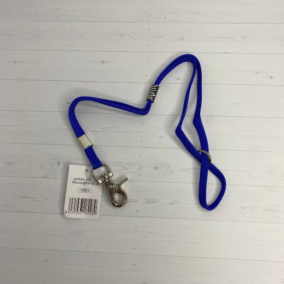 Петля Artero для удержания собаки к кронштейну, синяя