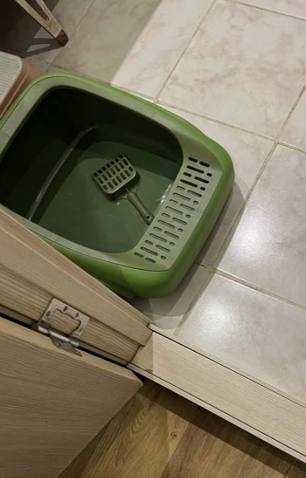 Лоток кошачий Diil 47х37х18 см прямоугольный, зеленый